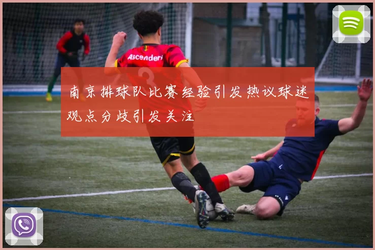 南京排球队比赛经验引发热议球迷观点分歧引发关注