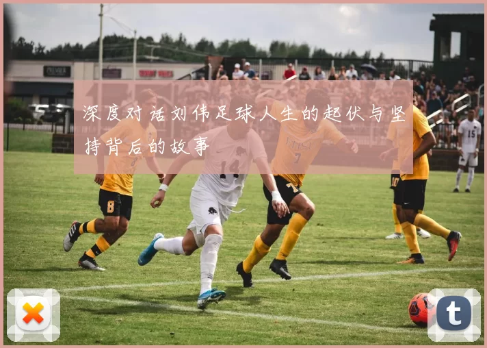深度对话刘伟足球人生的起伏与坚持背后的故事