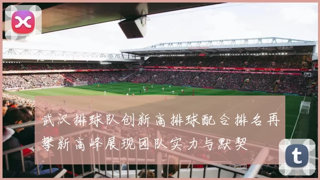 武汉排球队创新高排球配合排名再攀新高峰展现团队实力与默契