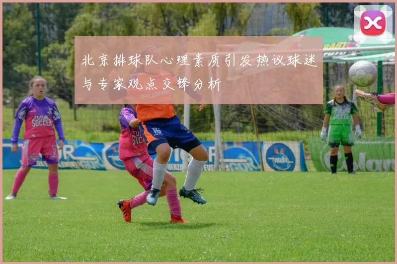 北京排球队心理素质引发热议球迷与专家观点交锋分析