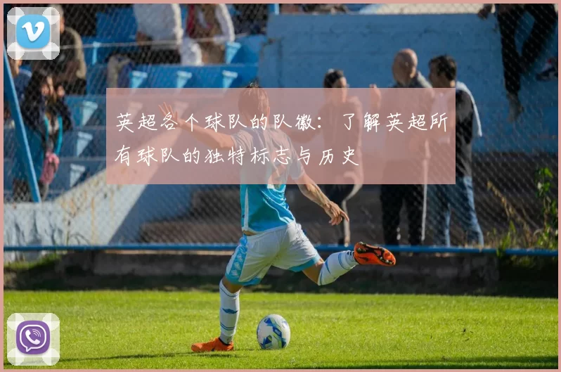 英超各个球队的队徽：了解英超所有球队的独特标志与历史