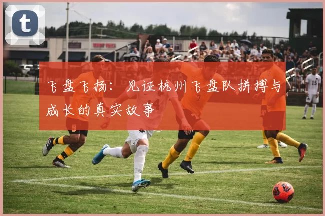 飞盘飞扬：见证杭州飞盘队拼搏与成长的真实故事