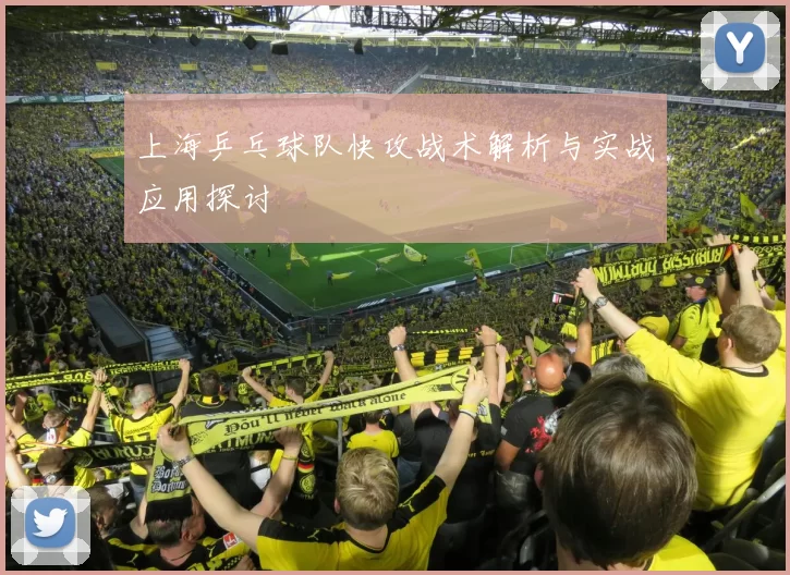 上海乒乓球队快攻战术解析与实战应用探讨