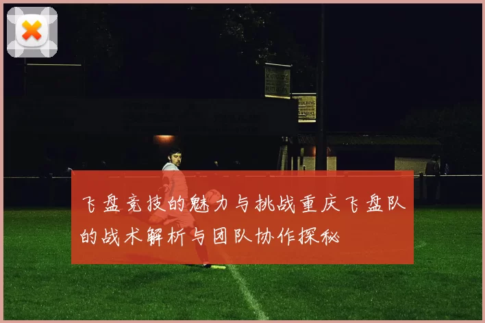 飞盘竞技的魅力与挑战重庆飞盘队的战术解析与团队协作探秘