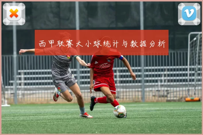 西甲联赛大小球统计与数据分析