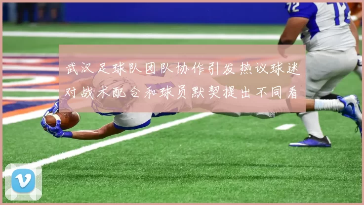 武汉足球队团队协作引发热议球迷对战术配合和球员默契提出不同看法