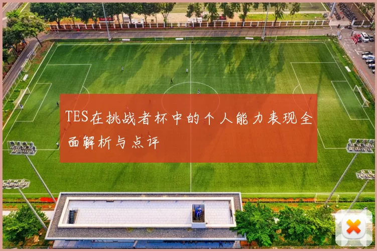 TES在挑战者杯中的个人能力表现全面解析与点评