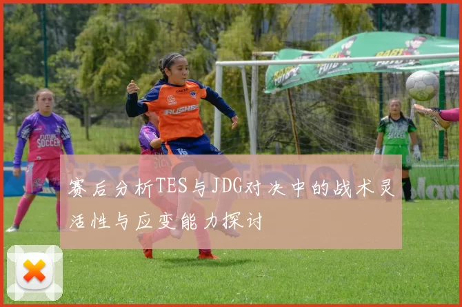 赛后分析TES与JDG对决中的战术灵活性与应变能力探讨