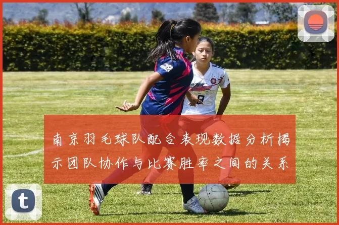 南京羽毛球队配合表现数据分析揭示团队协作与比赛胜率之间的关系