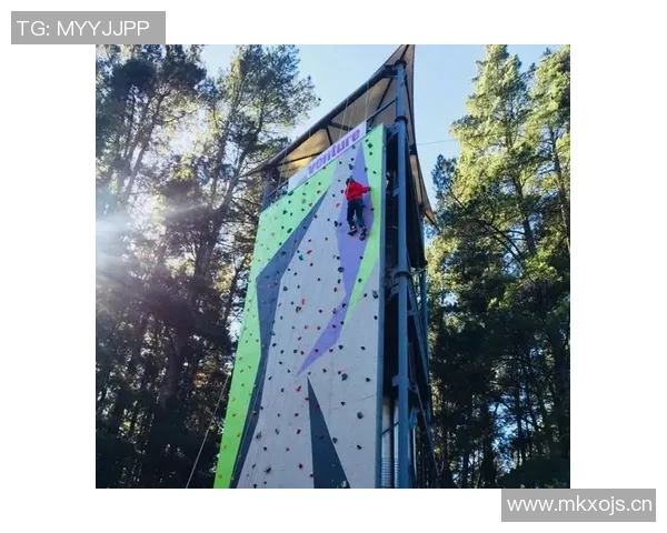 攀岩女神王娜的成功秘诀与心路历程全揭秘