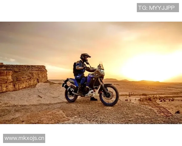 体育世界新视野：探索全球竞技舞台的挑战与机遇