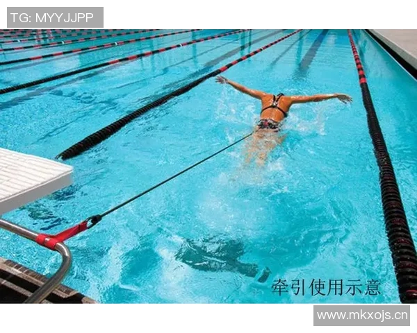 游泳技术提升秘籍：掌握基础动作，突破速度与耐力的极限